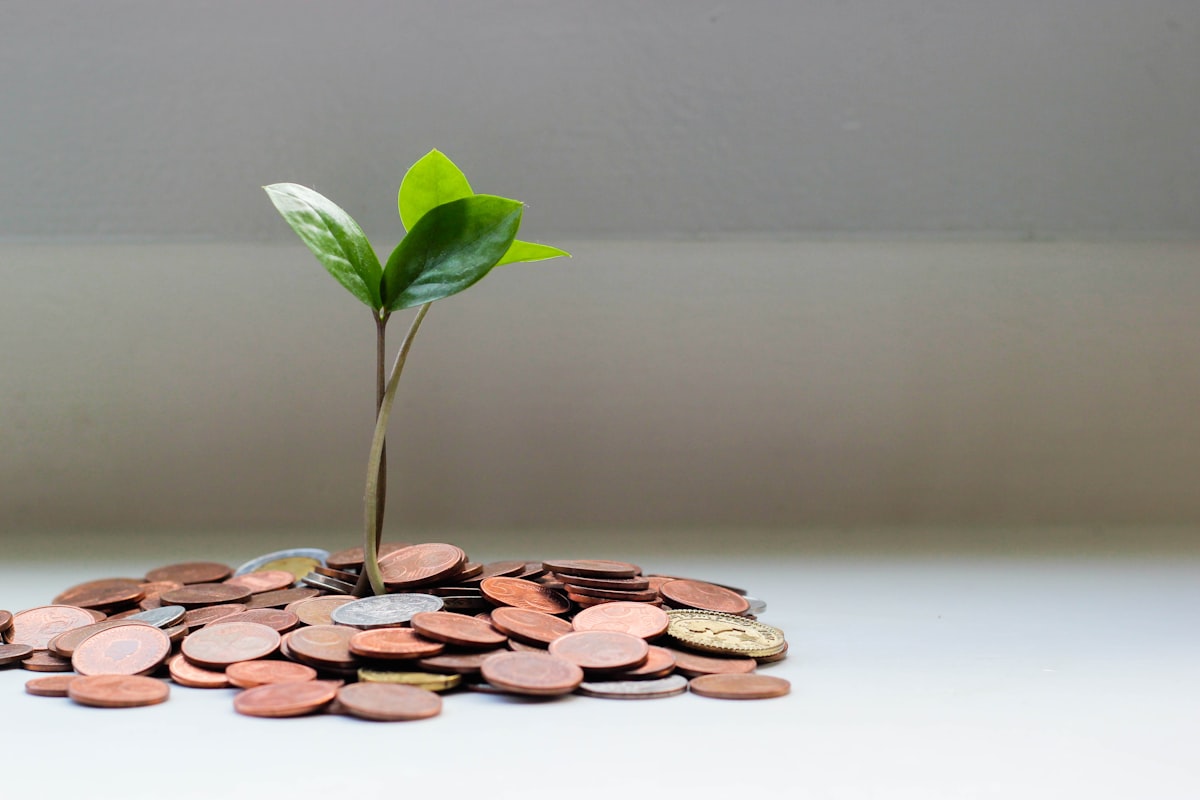 Commercial credit planning